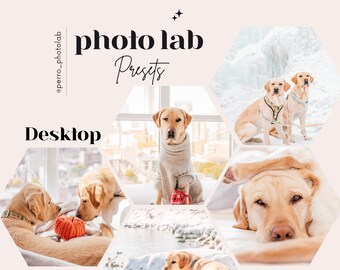 12 Lightroom DESKTOP Presets + Manual by Photo Lab - Bright and airy presets for your and your pet's Instagram