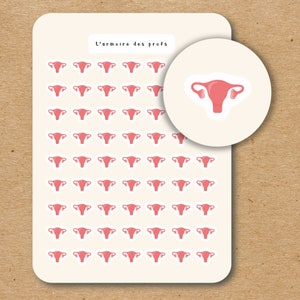MENSTRUAL Planner Stickers, Periode Tracker, Menstruele Planner Stickers, Maandelijkse cyclus voor dames, Eierstokherinnering