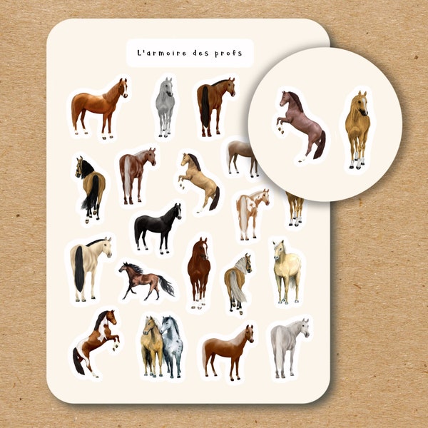 HORSE Theme Sticker Sheet / Horse Riding Stickers / Cute Animal Stickers for Planner & Journal