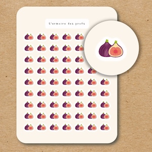 FIG Stickers / Fruit and Veggie Planner Stickers / Tropical Stickers