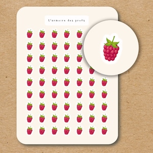 RASPBERRY Icon Stickers / Fruit and Veggie Planner Stickers / Food Stickers