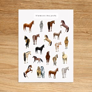 PFERD Stickerbogen / Reitaufkleber / Süße Tieraufkleber für Planer & Journal