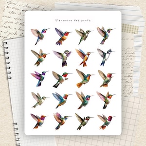 May include: A white sticker sheet with 16 illustrations of hummingbirds in flight, showcasing vibrant colours like blue, green, red, and purple. The text "L'armoire des profs" is printed at the top of the sheet.