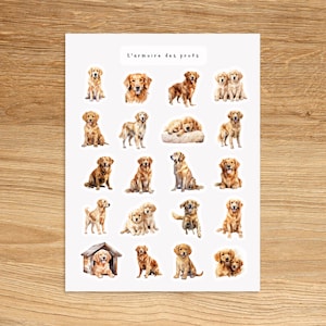 Adesivos GOLDEN RETRIEVER para diário de planejamento, scrapbooking, adesivos para amantes de cães e animais, adesivos fofos de animais