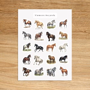 HORSE Stickers for Planner, Journal, Notebook, Western Planner Stickers, Cowboy Decorative Stickers, Texas Ranch Cowgirl Stickers