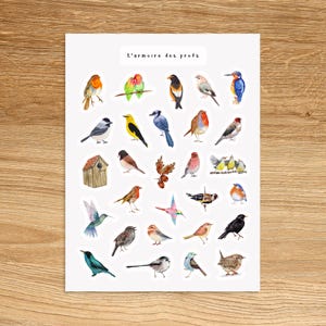 BIRD Stickers for Planners Journals Scrapbooking and Notebooks, Cute Decorative Stickers, Animals Insect Fun Watercolor Stickers