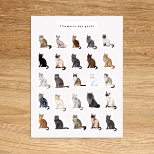 CATS Theme Sticker Sheet / Cat Lover Stickers / Animals Planner & Journal Sticker Sheet