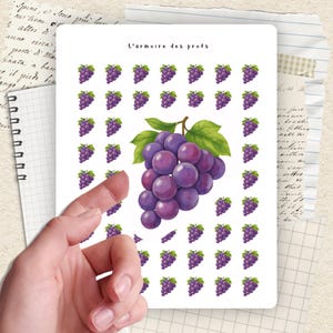 Peut inclure: Une planche d'autocollants avec une grande grappe de raisins violets et des feuilles vertes, entourée de plus petites grappes. Le texte "L'armoire des profs" est en haut. Les autocollants sont sur fond blanc.