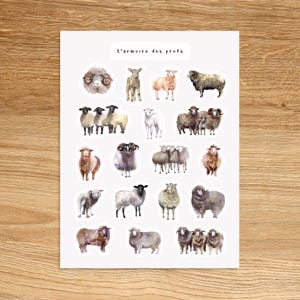 SHEEP Stickers for Planners Journals Scrapbooking and Notebooks, Cute Decorative Stickers, Animals Insect Fun Watercolor Stickers