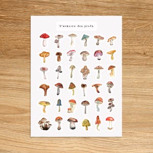 MUSHROOM Theme Sticker Sheet, Gardening Planner Stickers, Spring Cottage Home Vegetables Stickers for Planner & Journal Sticker Sheet