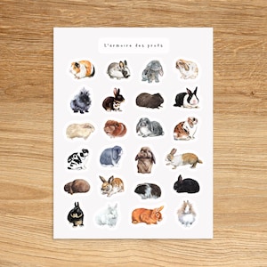 Hoja de pegatinas con temática de conejo / Pegatinas de conejito lindas / Pegatinas de animales para planificador y diario
