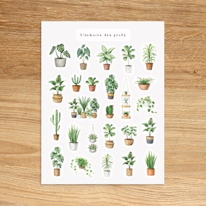 PLANT Stickers, Houseplant Garden Sticker Sheet, Cute Succulent Cactus Junk Journal Stickers, Plant Lover Gift