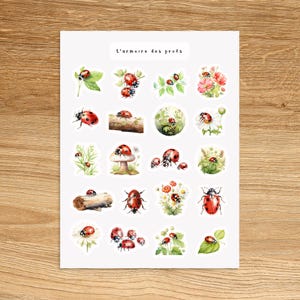 RED LADYBUGS Stickers for Planners Journals Scrapbooking and Notebooks, Cute Decorative Stickers, Animals Insect Fun Watercolor Stickers