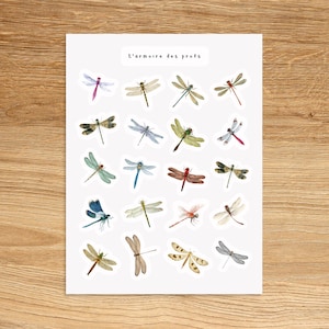 DRAGONFLY Stickers for Planners Journals Scrapbooking and Notebooks, Cute Decorative Stickers, Animals Insect Fun Watercolor Stickers