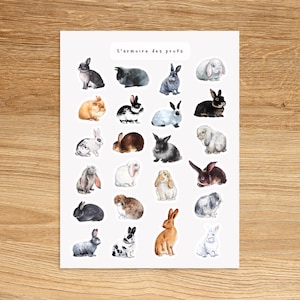 RABBIT Theme Sticker Sheet / Cute Bunny Stickers / Animal Stickers for Planner & Journal