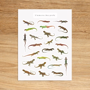 LIZARD Theme Sticker Sheet / Reptile Planner Stickers / Planner & Journal Sticker Sheet