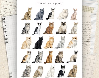 Cat Planner Stickers, Pet Stickers, Cute Cat Icons, Animal Planner Stickers, Functional Stickers