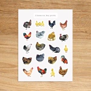 CHICKEN Stickers for Planners Journals Scrapbooking and Notebooks, Cute Decorative Stickers, Animals Insect Fun Watercolor Stickers