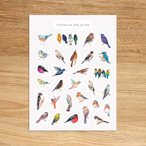 BIRD Stickers for Planners Journals Scrapbooking and Notebooks, Cute Decorative Stickers, Animals Insect Fun Watercolor Stickers