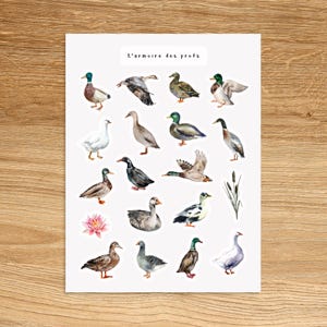 DUCK Theme Sticker Sheet / Animal Planner Stickers / Planner & Journal Sticker Sheet