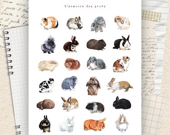 Rabbit Stickers, Guinea Pig Sticker Sheet, Cute Pet Planner Stickers, Small Animal Journal Stickers