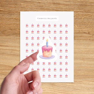 BIRTHDAY CAKE Icon Stickers for Planner / Birthday Planner Stickers / Cake Icon Stickers