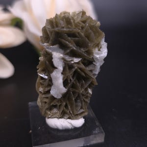 May include: A cluster of brown selenite crystals with a white, layered, mineral formation. The crystals are arranged in a pointed, clustered formation.