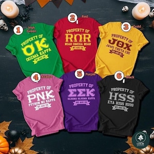 May include: Six short-sleeve t-shirts in Irish green, red, gold, azalea, purple, and black. Each shirt features the text PROPERTY OF followed by a three-letter acronym, a full name, and the text WE ARE OK on a banner at the bottom.