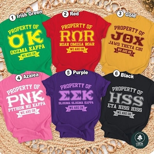 Monsters University Halloween Costume Shirt, Disneyland Magical Kingdom Monsters Inc Group Tee,  Fraternity and Sorority Family Matching Tee