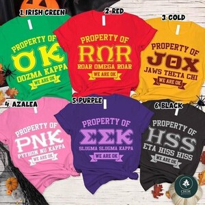 May include: Six short-sleeved crew neck t-shirts in green, red, gold, pink, purple, and black. Each shirt features the text Property Of, a three-letter Greek-style acronym, a fraternity name, and the banner text We Are OK in contrasting colors.