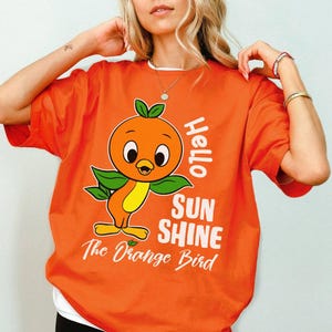 Disneyland Orange Bird Shirt, Orange Bird Hello Sunshine Shirt, Disneyland Trip 2025 Shirt, Family Vacation Shirts, Birthday Gifts