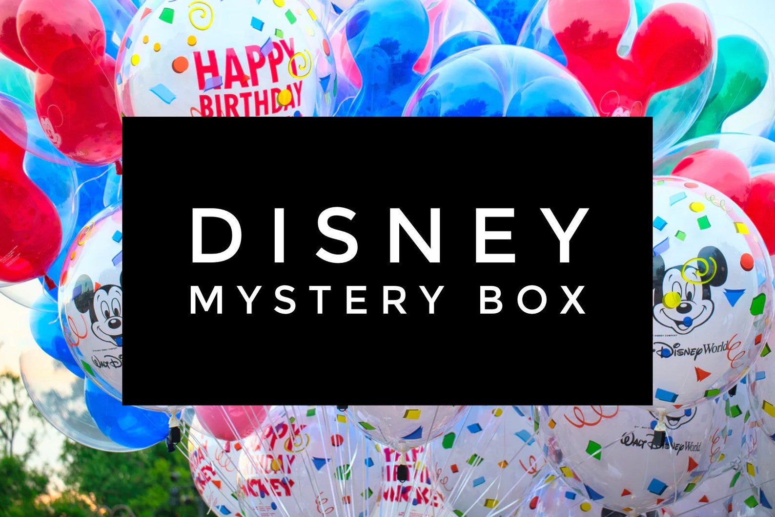 Disney Mystery Box Mystery Box Fun Box Disney Souvenirs Etsy