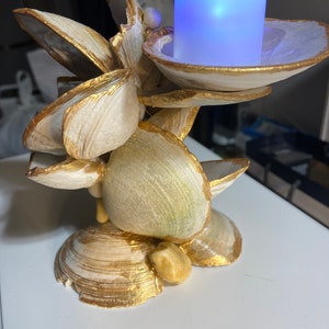 Puede incluir: Un portavelas hecho de conchas marinas con detalles dorados. El portavelas está decorado con una variedad de conchas marinas, incluyendo almejas y ostras. El portavelas está diseñado para sostener una sola vela, que no está incluida.