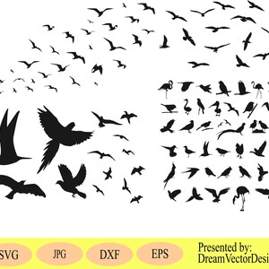 Bird Svg Bundle, Birds Svg, Flying Bird Svg, Клипарт птиц, Силуэт птицы Svg, Svg-файлы для Cricut, Svg, Eps, Jpg, Векторный дизайн