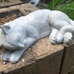 sleeping cat stone