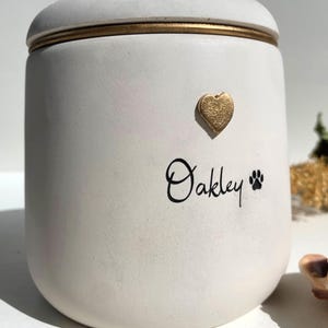 Personalized Pet urn for ashes bild 4