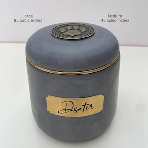 Customized Modern Pet urn with color options