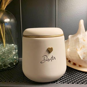 elegant pet urn