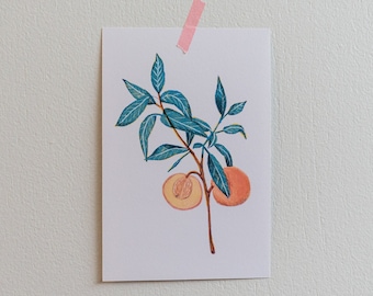 PEACH Illustration Print, Wall Decor Print, Digital Illustration Art Print, Illustration