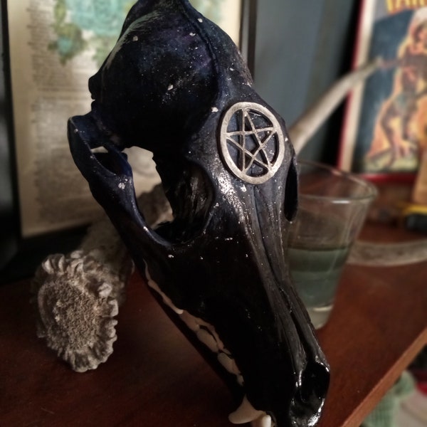 Witching Hour. Hand Painted Galaxy Coyote Skull