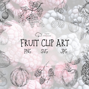 14x Download digital de clipart de frutas | Imprimível | Cereja, abacaxi, limão, uva, maçã | PNG SVG | Arte de jardinagem