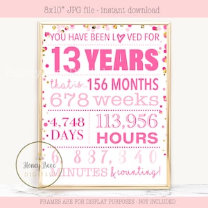 Placa de "Você foi amado por 13 anos" | Imprimível para festa de aniversário | Confete rosa dourado com bolinhas | Decoração para festa de adolescente | 13º aniversário