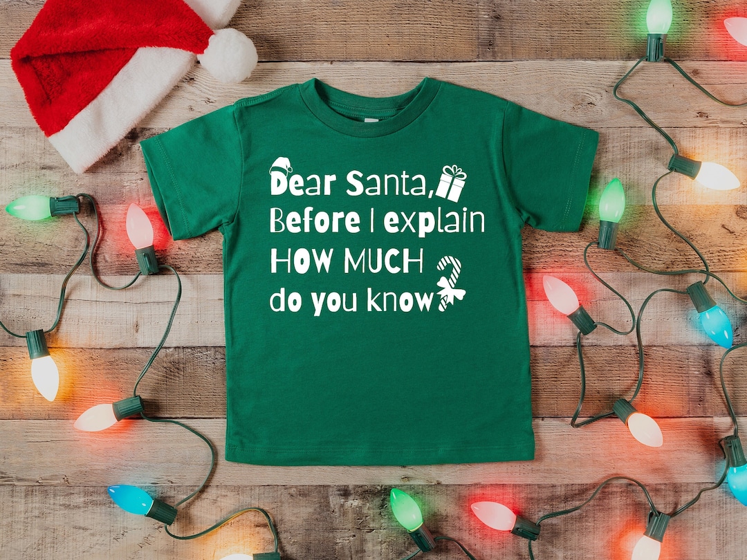 Funny Christmas Kids Shirt, Toddler Funny Christmas Shirt, Youth