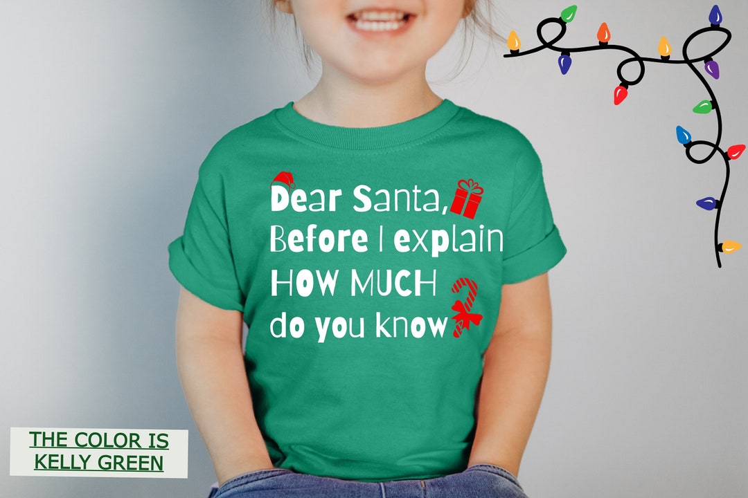 Funny Christmas Sirt for Kids, Toddler Christmas Shirt, Youth Funny