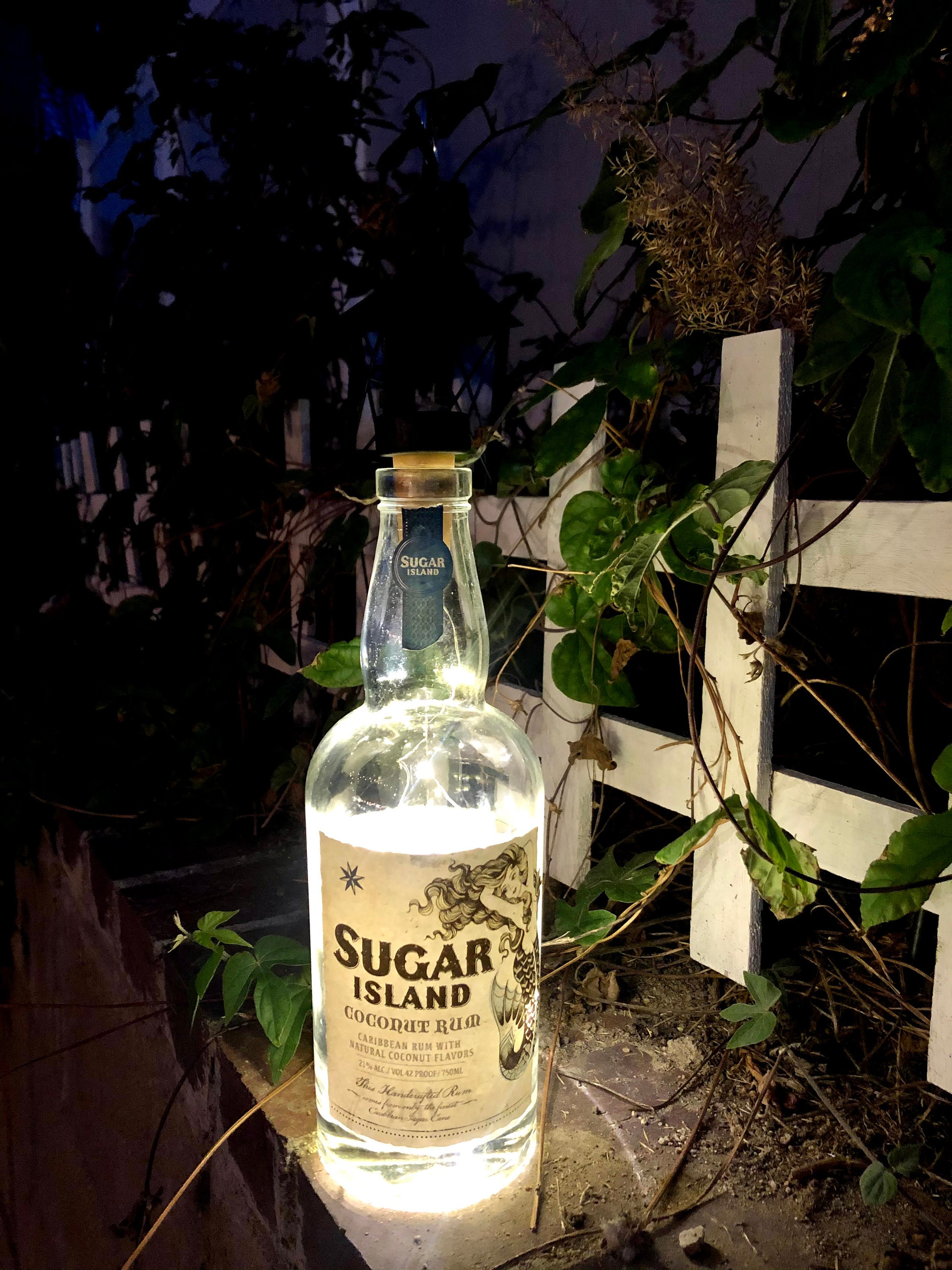 Monkey Liquor Bottle - Etsy