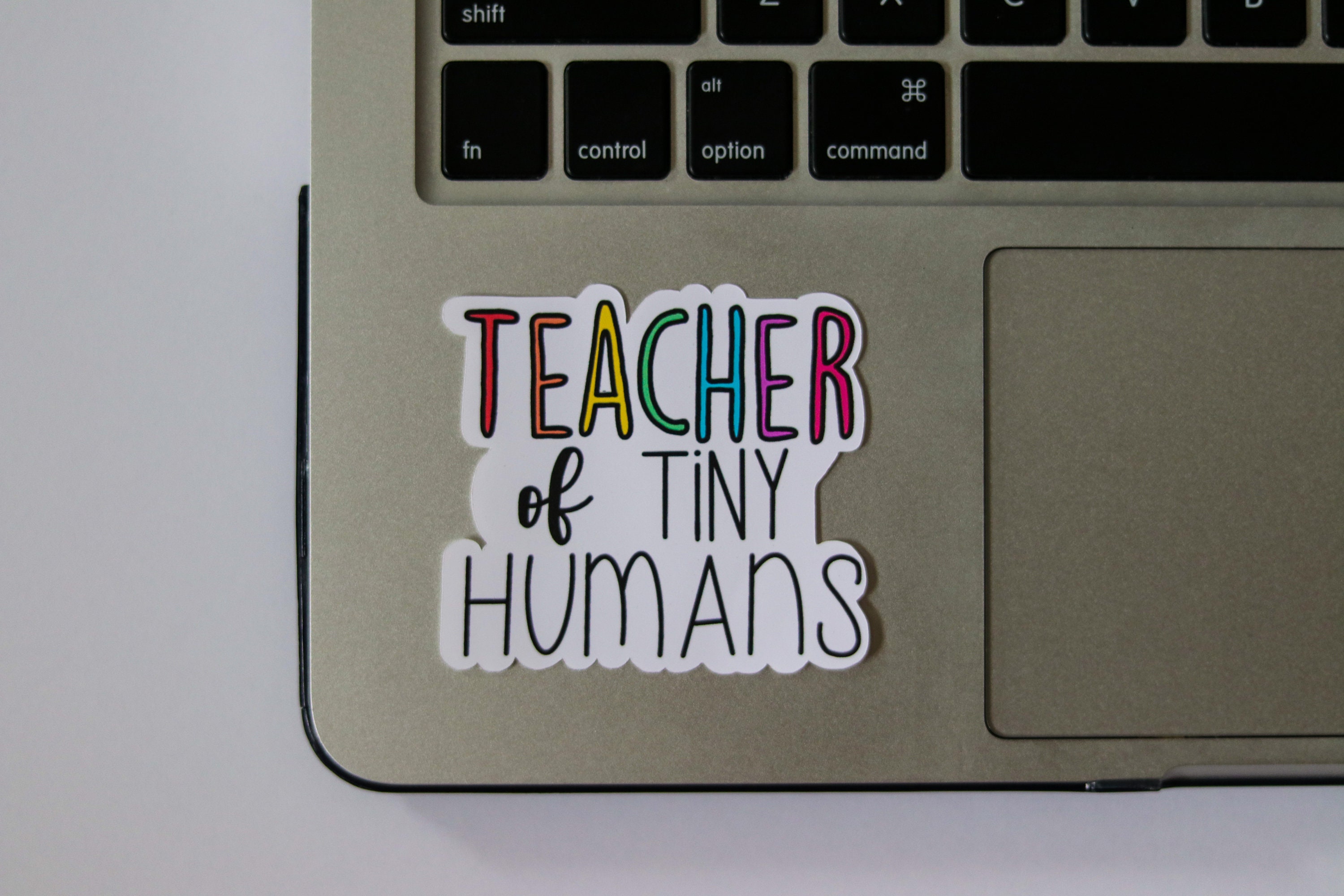 Teacher/slp/ot of Tiny Humans Stickers | Etsy