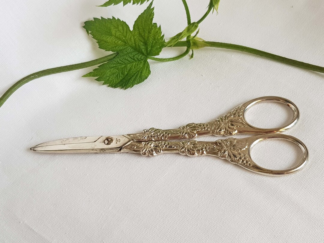 Antique Scissors by Grasoli, Germany. Retro Craft Scissors, Grapes