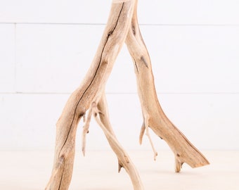 Manzanita 13" Driftwood, Sturdy Aquarium Aquascape Branch, Reptile Terrarium Wood, Vivarium Climb