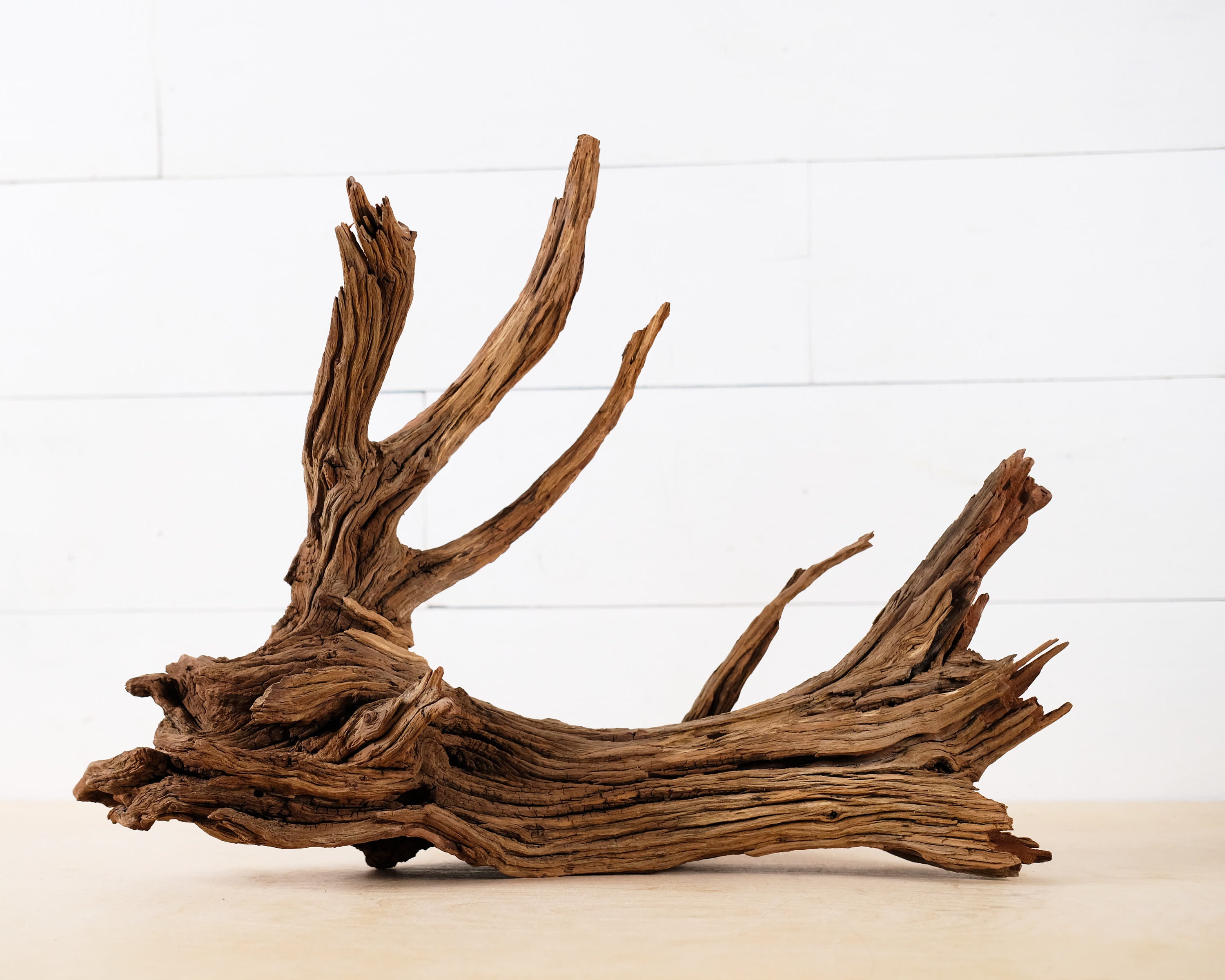 20 Manzanita Driftwood Root Branch Weathered Aquarium Etsy