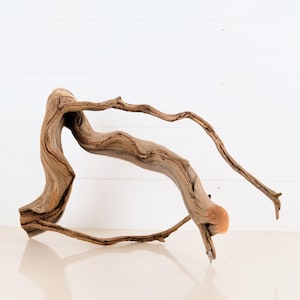 Manzanita 20&quot; Branch, Aquascape Driftwood, Narrow Aquarium Wood, Natural Fish Tank Decor, Small Reptile Terrarium Enrichment